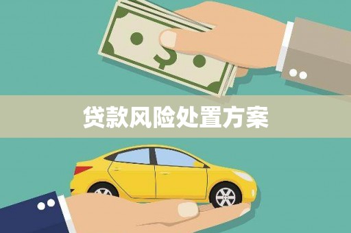 浦北贷款风险处置方案