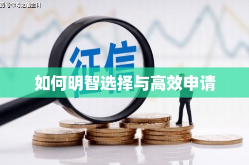 稻城如何明智选择与高效申请