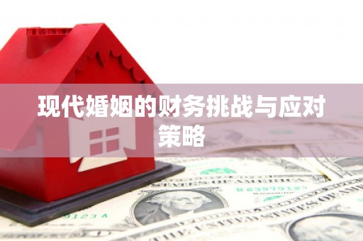 温泉现代婚姻的财务挑战与应对策略