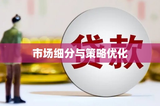 武川市场细分与策略优化