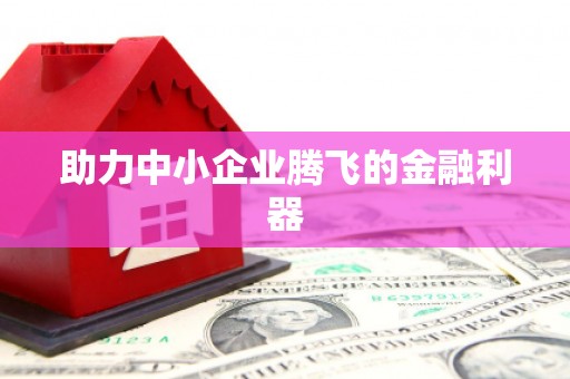 长洲助力中小企业腾飞的金融利器