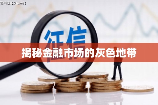 麻山揭秘金融市场的灰色地带